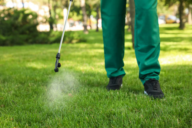 Lawn Pest Control in Terre Du Lac, MO